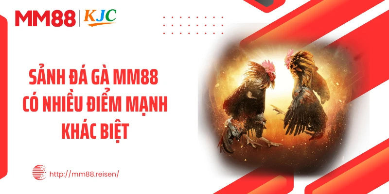 Sảnh đá gà MM88 có nhiều điểm mạnh khác biệt